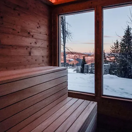 Winzerhaus Am Schoeckl Ferienhaus *